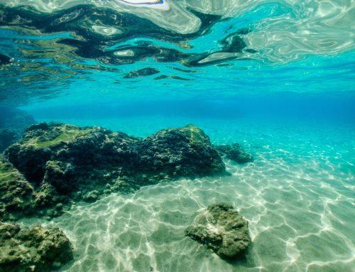 2025/06/Oxygen-ocean.jpg