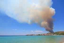 2025/06/Fires-ocean-life.jpg