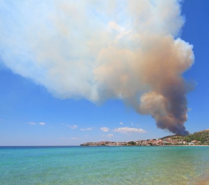 2025/06/Fires-ocean-life.jpg