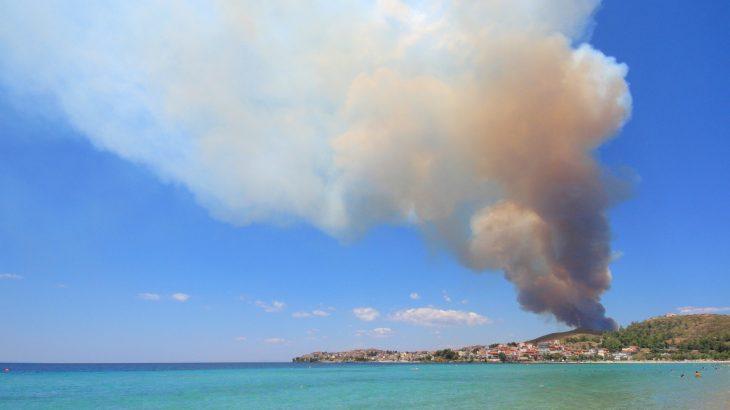 2025/06/Fires-ocean-life.jpg