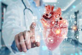 2025/06/Heart-scan-.jpg