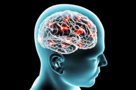 Brain,Neurons,,Synapses,,Reasoning