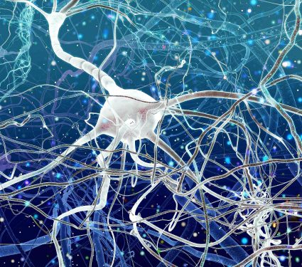 Diseño sin título - 1