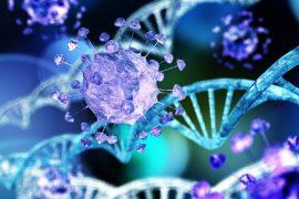 2025/06/herpes-dna.jpg