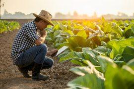 2025/06/Food-climate-change.jpg