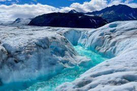 2025/06/Meltwater-ponds-life2.jpg