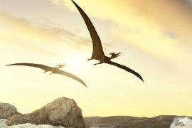 2025/06/Pterosaur-flight-.jpg