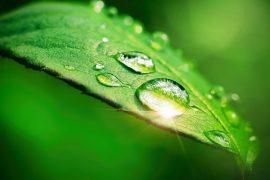 2025/06/Sunlight-water-evaporation.jpg