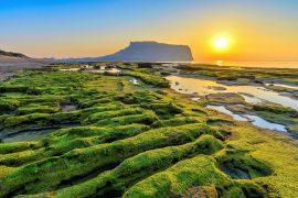 2025/07/Ocean-warming-sea-life.jpg