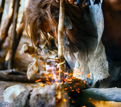 2025/07/humans_fire_tool_homo-sapiens_1m.jpg