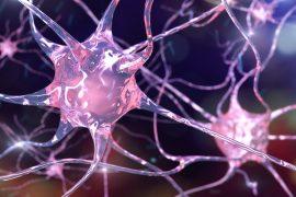 2025/07/Brain-neuron.jpg