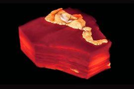 2025/07/ancient-organisms-arsenic.jpg