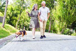 2025/07/walking_health_optimal-daily-amount_1m.jpg