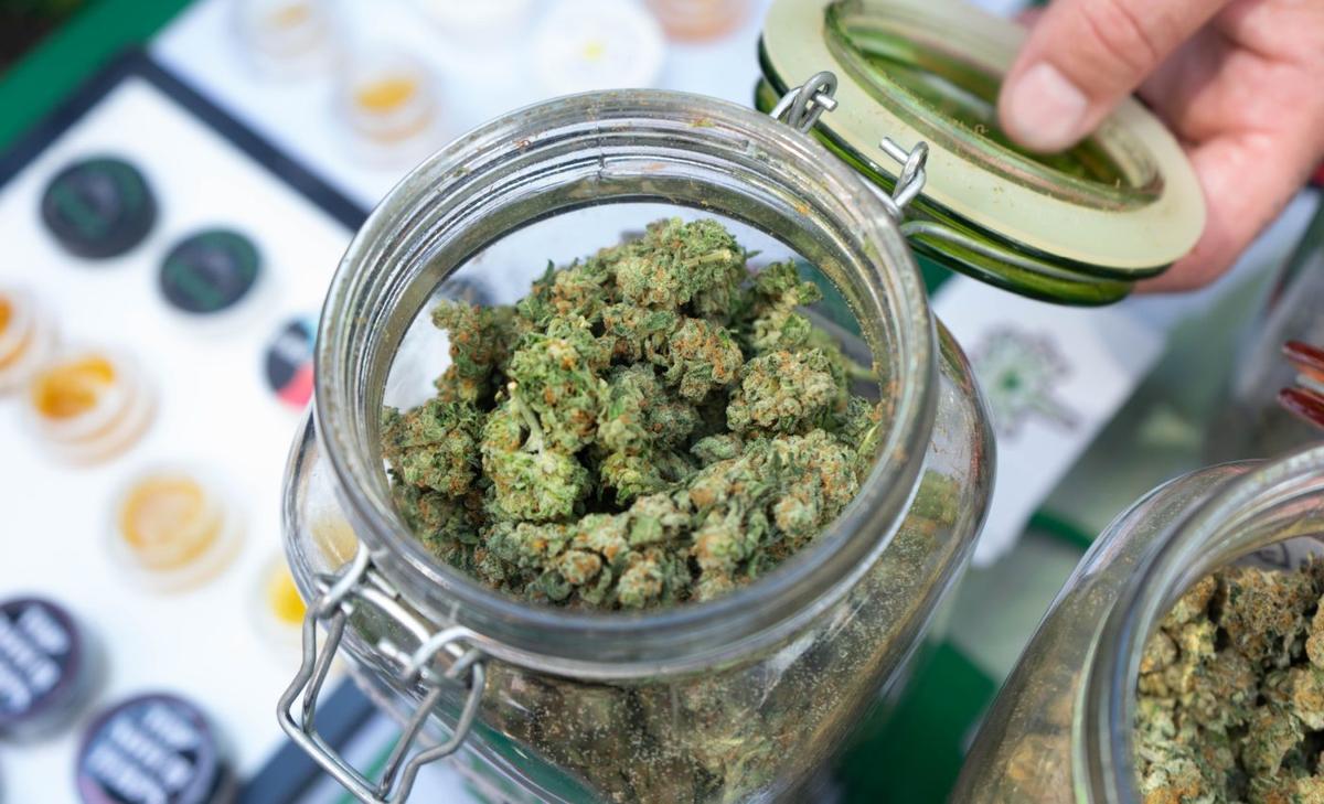 Cannabis potency: Why you shouldn't trust the label