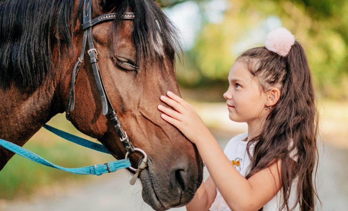 Therapy horses are helping children heal from trauma