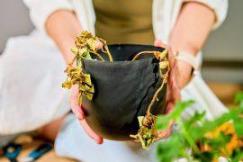 2025/07/plant-and-water4.jpg