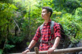 2025/07/Biodiversity-senses.jpg
