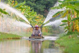 2025/07/asia-water.jpg