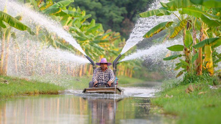 2025/07/asia-water.jpg