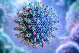 2025/07/Ancient-infections3.jpg