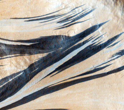 Diseño sin título - 1