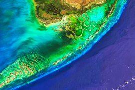 The,Changing,Seas,Of,The,Florida,Keys.,Growing,Corals,And