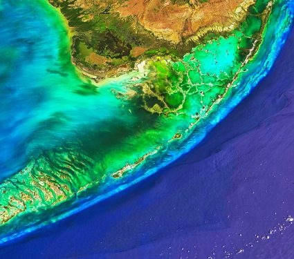 The,Changing,Seas,Of,The,Florida,Keys.,Growing,Corals,And