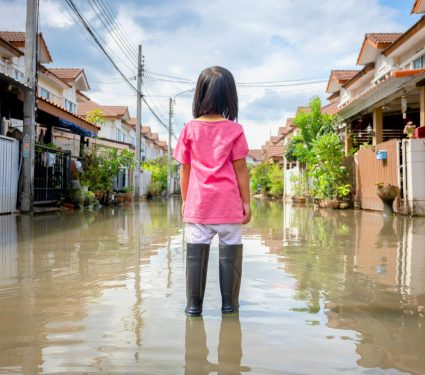 2025/07/Forest-removal-flood.jpg