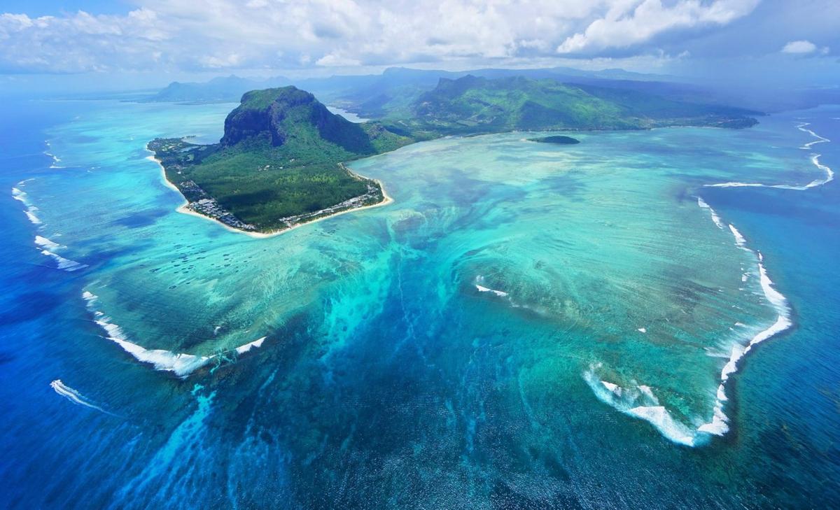 Baby corals inherit a powerful defense against climate change