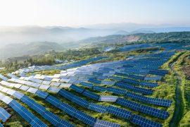 2025/07/Solar-wildlife-1.jpg