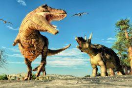 2025/07/Dinosaur-fossil-.jpg