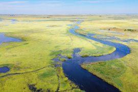2025/07/Wetlands-carbon.jpg