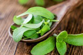2025/07/Stevia-cancer.jpg