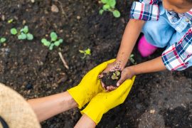Transform bad garden soil into black gold