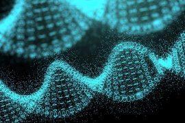 2025/07/Human-genome-2.jpg