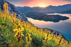 2025/07/World-Nature-Conservation-Day.jpg