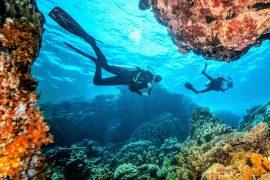 2025/07/Scuba-diving-conservation2.jpg
