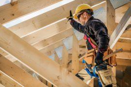 2025/07/BioStrong Wood.jpg