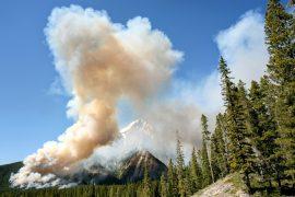 2025/07/Wildfire-smoke-.jpg