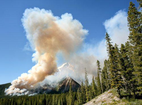 2025/07/Wildfire-smoke-.jpg