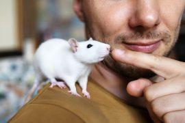 2025/07/Human-animal-bonding.jpg