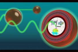 2025/07/Artificial-cell-time.jpg