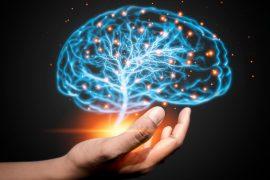 2025/07/brain-glow-.jpg