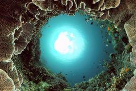 2025/08/Protected-marine-areas-day.jpg