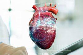 2025/08/heart-age_new-test_biological-age_1.jpg