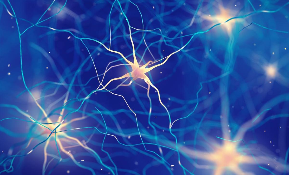 Brain aging linked to sluggish production of key proteins