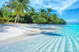 2025/08/Ocean-current-tropics.jpg