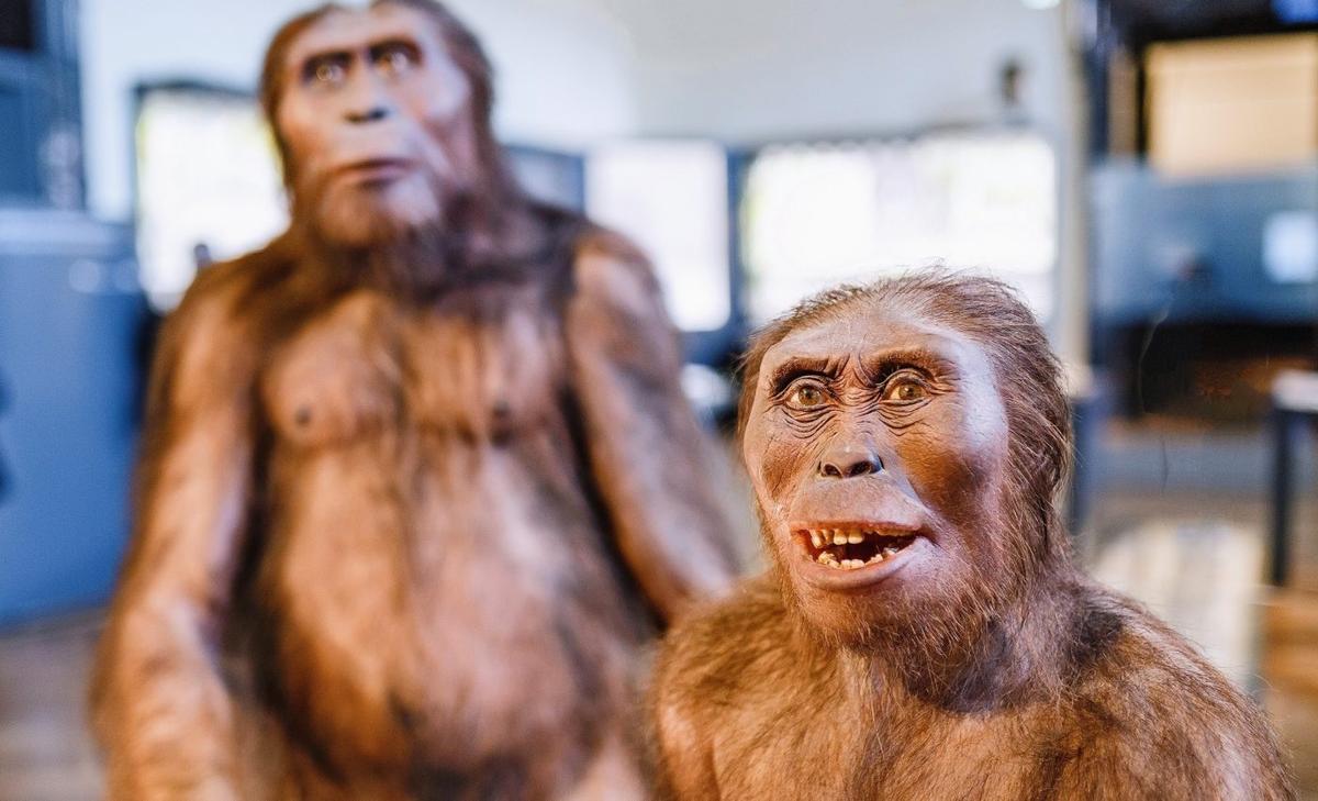 Big males, small females: A window into prehistoric power struggles