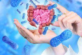 2025/08/gut-microbes3.jpg