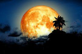 2025/08/Sturgeon-Moon.jpg